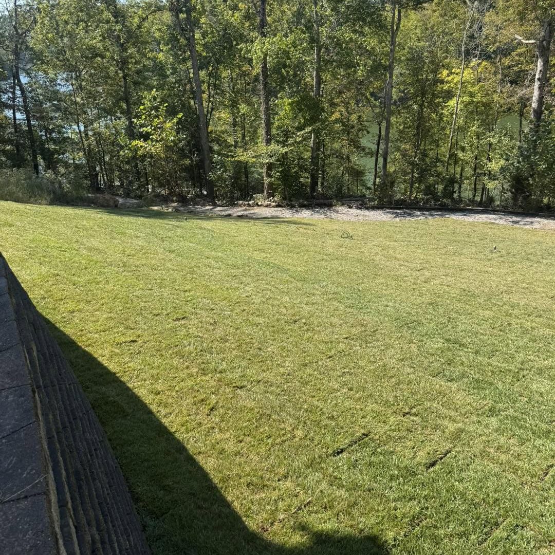 Beautiful backyard with well-maintained grass and natural wooded backdrop for outdoor recreation.