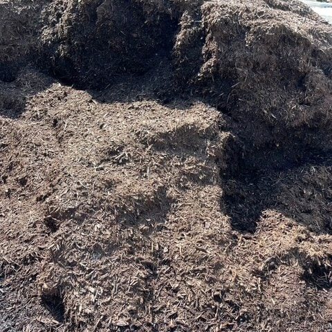 Close-up of dark, fertile garden soil with organic matter and mulch.